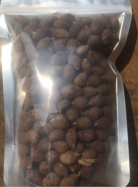 100gr hạt đười ươi sẻ bay