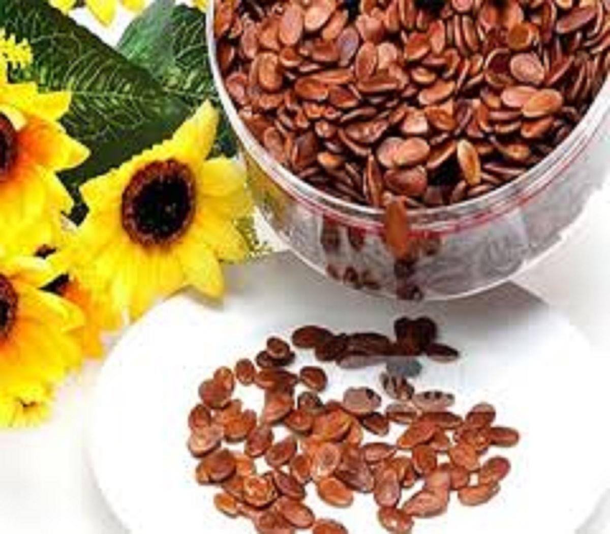 [HCM]1kg hạt dưa phước thành