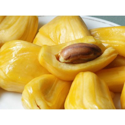 Mít Thái Siêu Sớm - F1