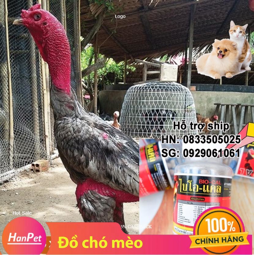 Hanpet - (Thuốc GÀ CHỌI) (Lọ 100 viên) Bổ Xương Gân Gối BIO MADE IN THAILAND dạng viên nhộng UỐNG - Can xi gà đá