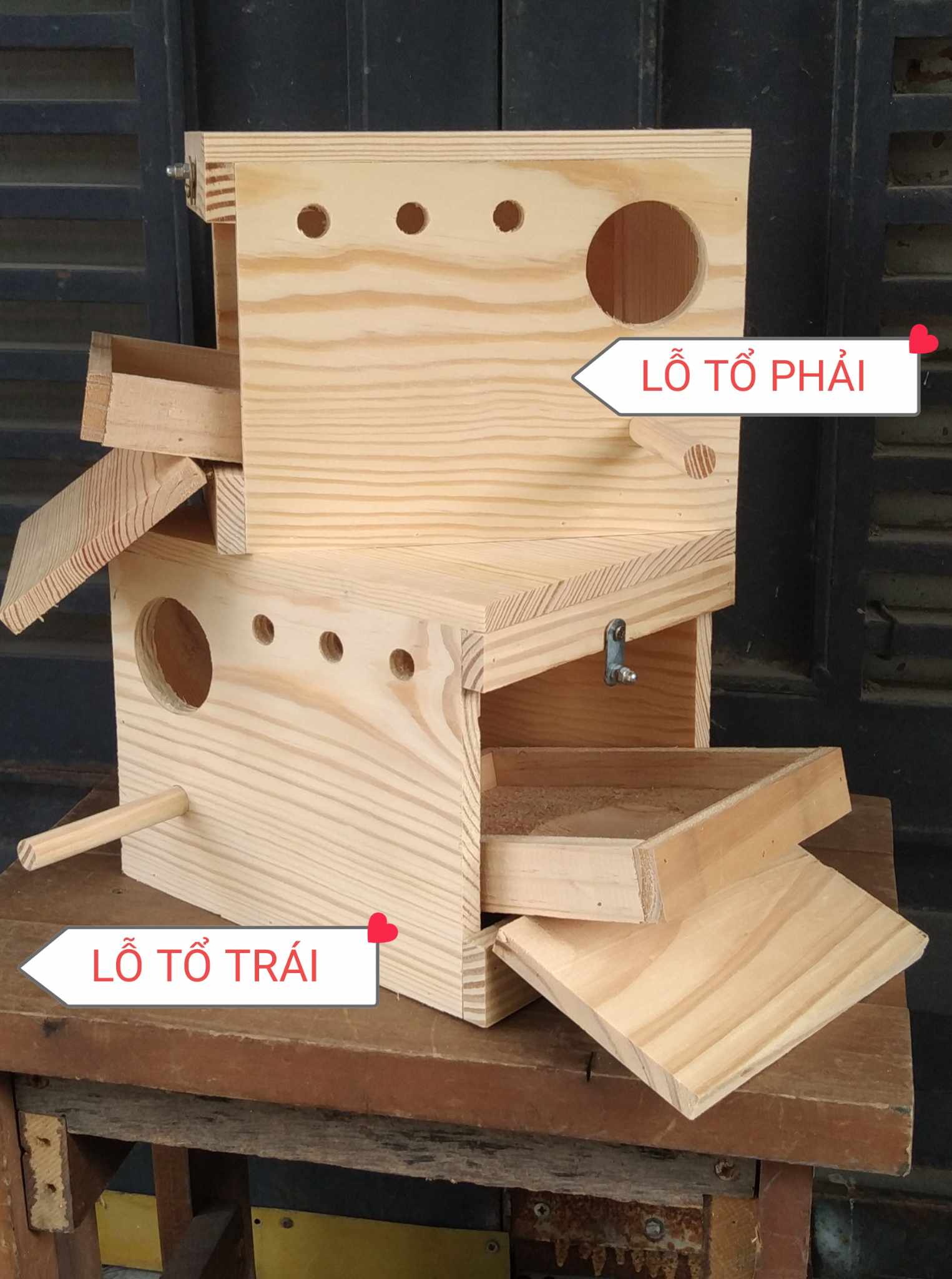 1 TỔ ĐẺ LOVEBIRD - VẸT MẪU ĐƠN - YẾN PHỤNG EU (CÓ KHAY RÚT ĐÁY)