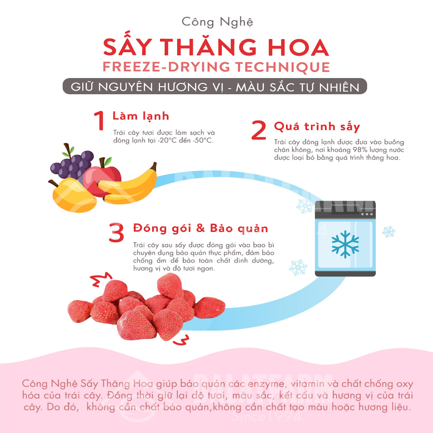 Dâu Tây Sấy Giòn - Túi 80g