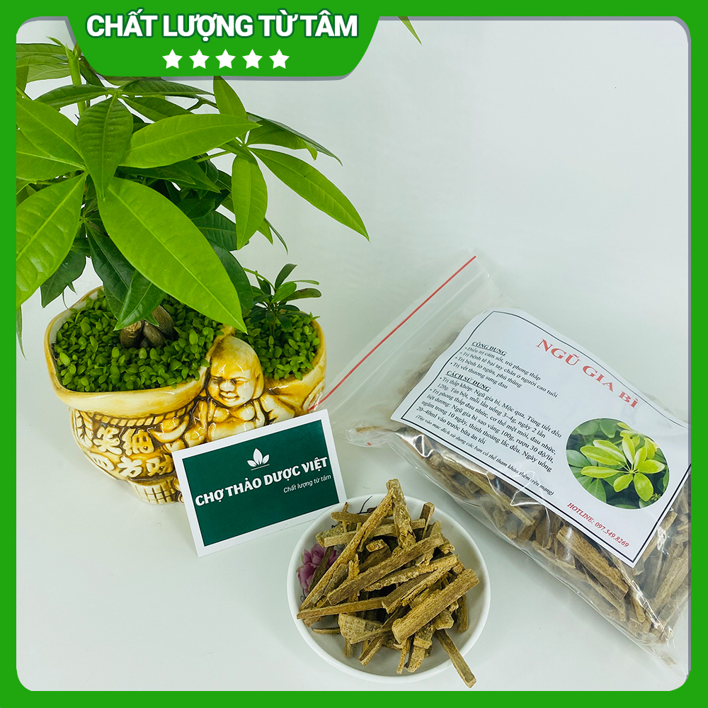 Ngũ gia bì 100g, khô, sạch, hỗ trợ giảm đau nhức xương khớp, tê bì tay chân