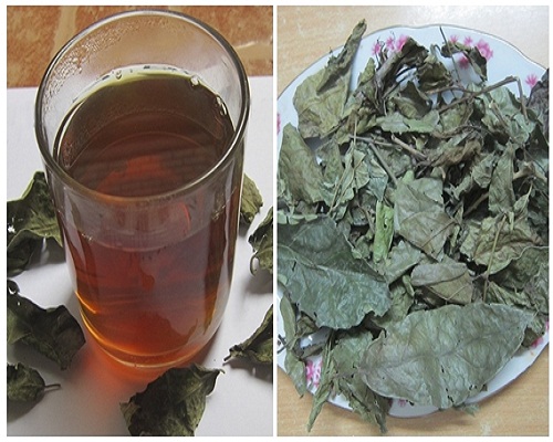 1 Kg lá xạ đen khô Hòa Bình