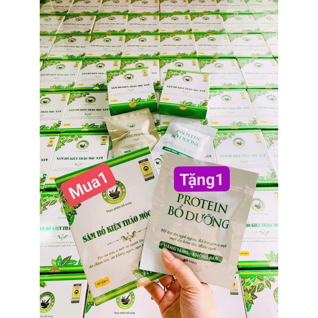 [Mua 1 tặng 1 Protein] (Ship Nhanh, Mẫu Mới, Date Mới) Sâm Bổ Kiện Thảo Mộc Nam - Tăng Cân Hiệu Quả