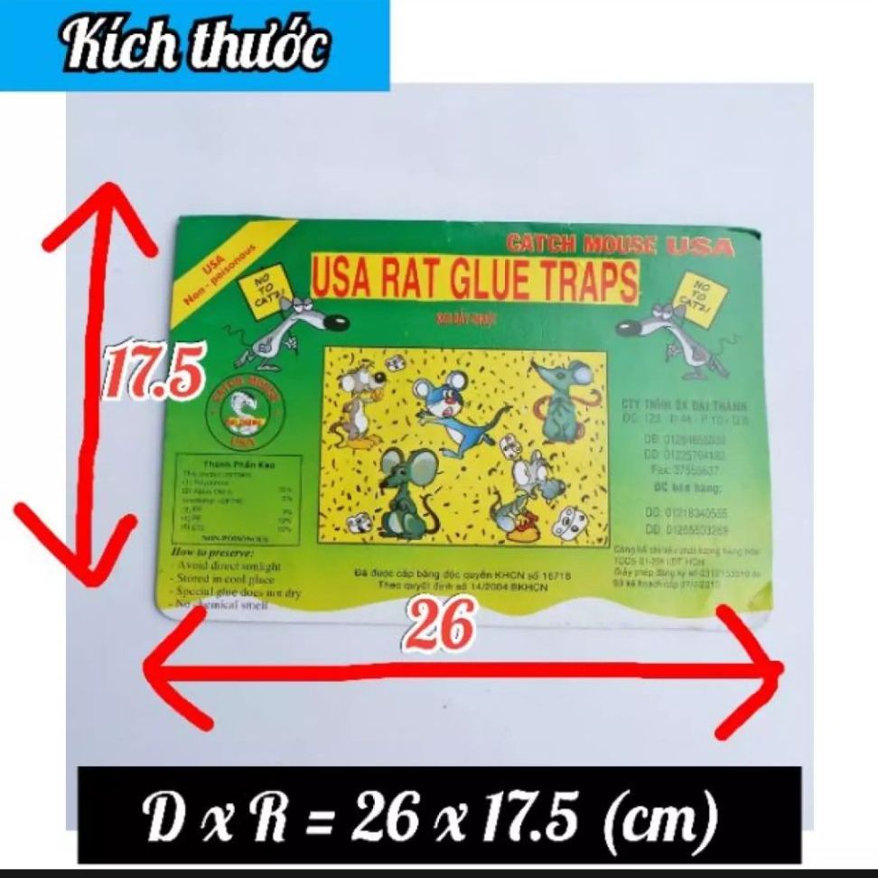 combo 10 miền keo dính chuột Đại Lộc