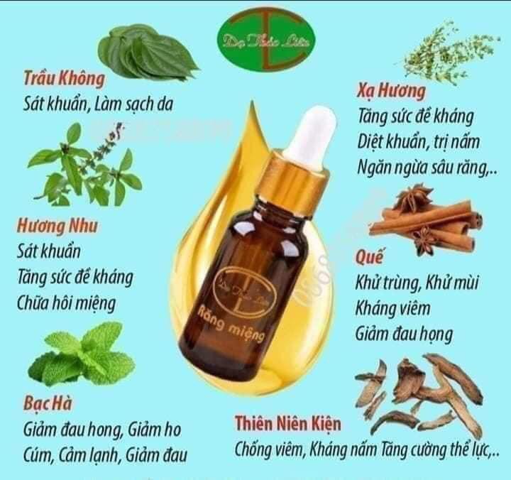TINH DẦU DẠ THẢO LIÊN