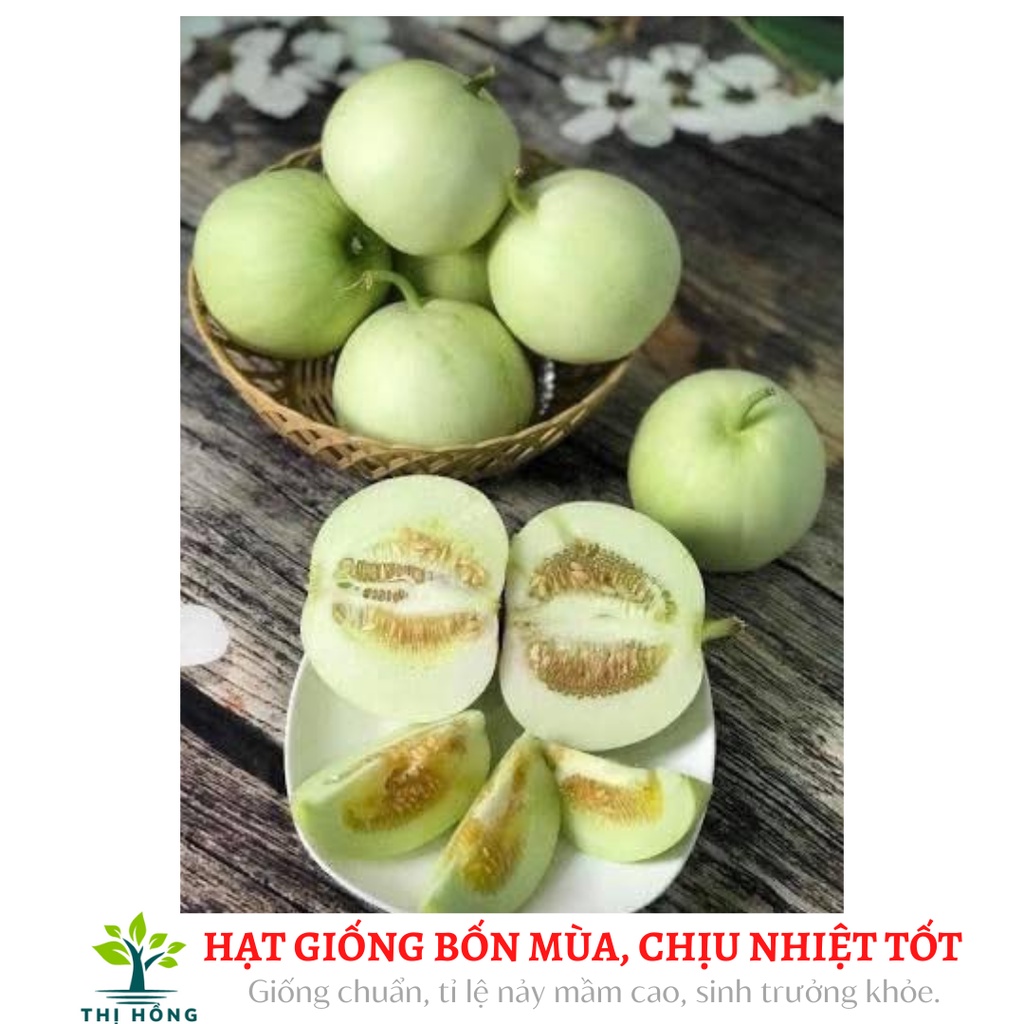 Hạt giống dưa lê siêu ngọt an đào 30 hạt (thịt quả dòn, đặc biệt rất thơm ngon)