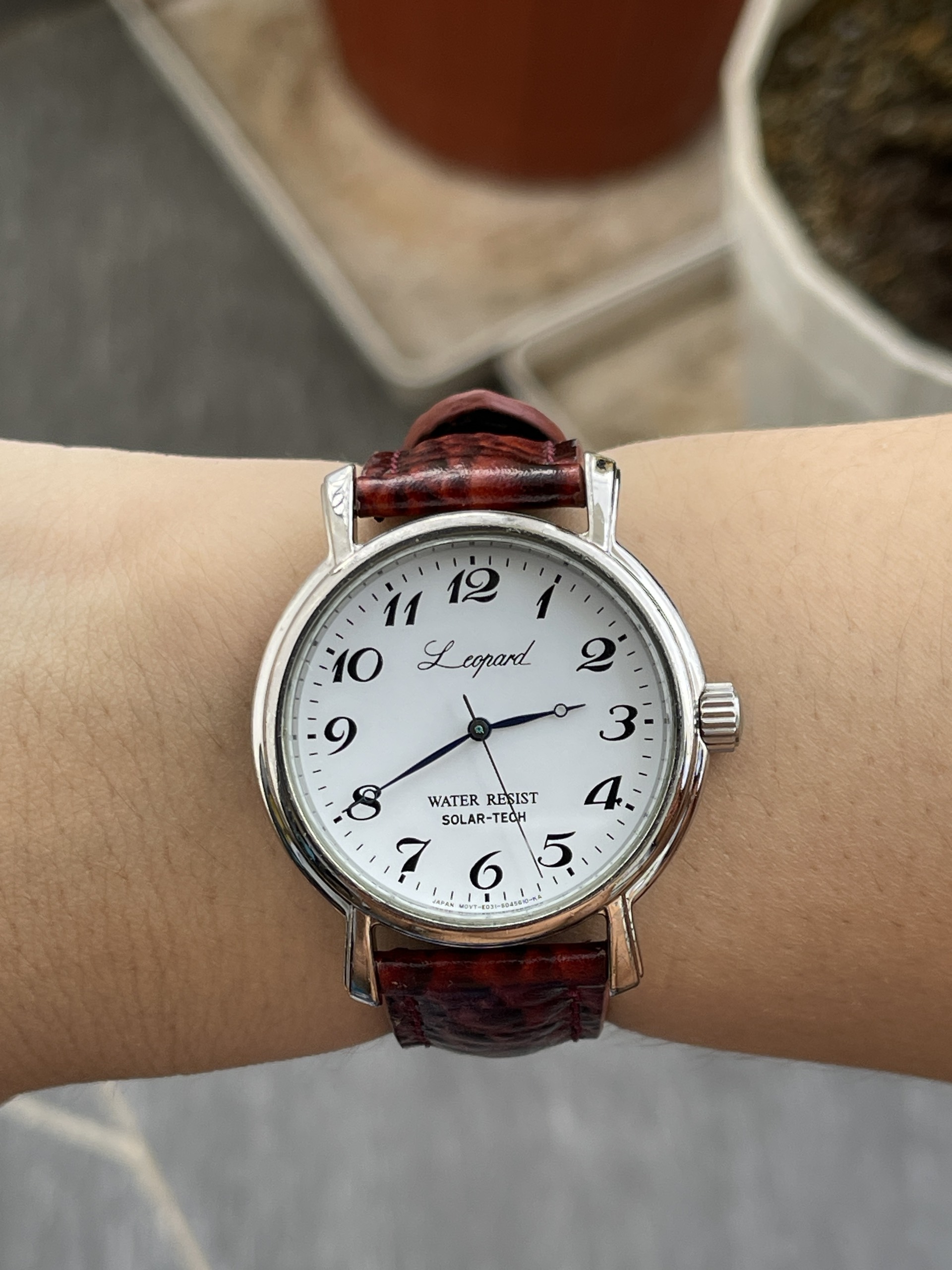 Đồng hồ nam Citizen Leopard chạy pin hàng Si