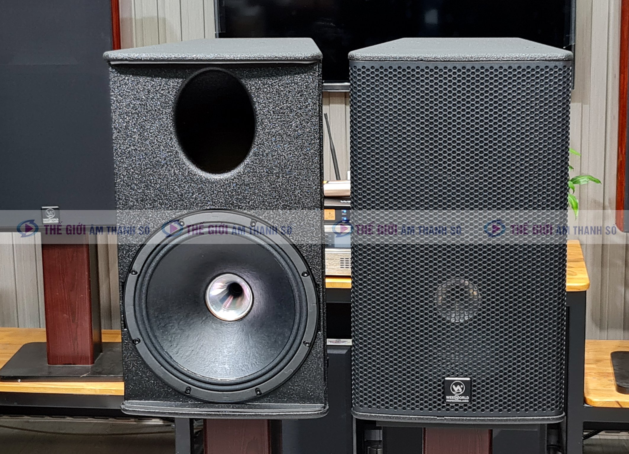 Loa Toàn Dải Weeworld D12