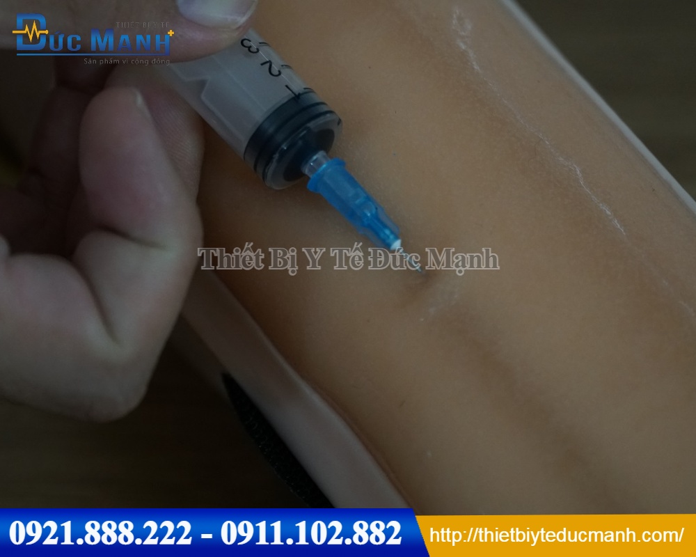 Mô hình tiêm tĩnh mạch
