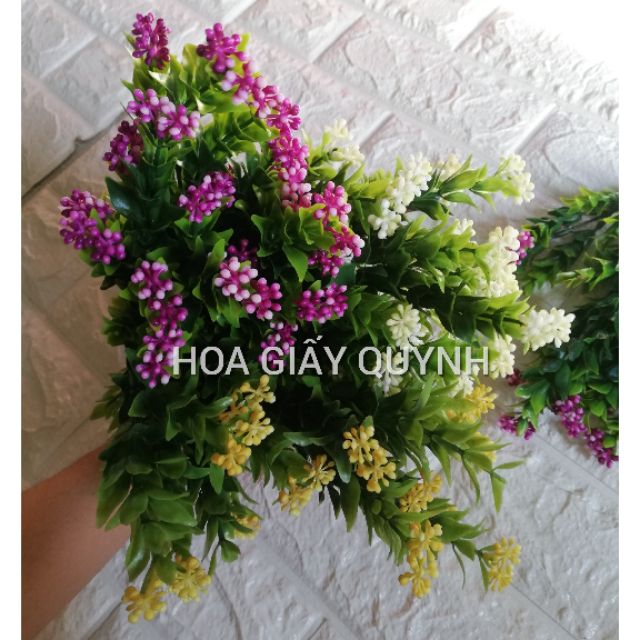 Cành điểm hạt ngâu