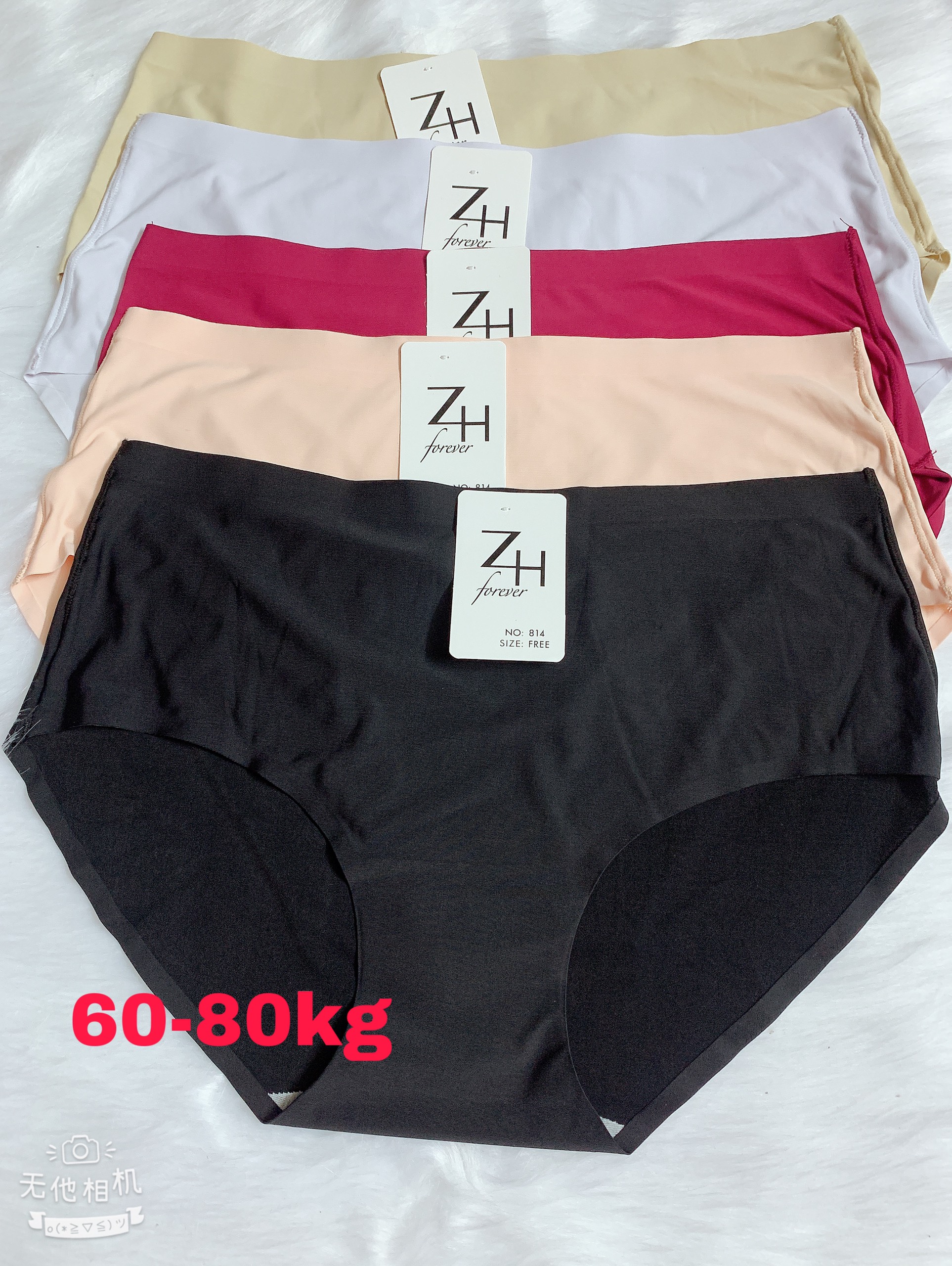 Set 5 quần chip su trơn ZH