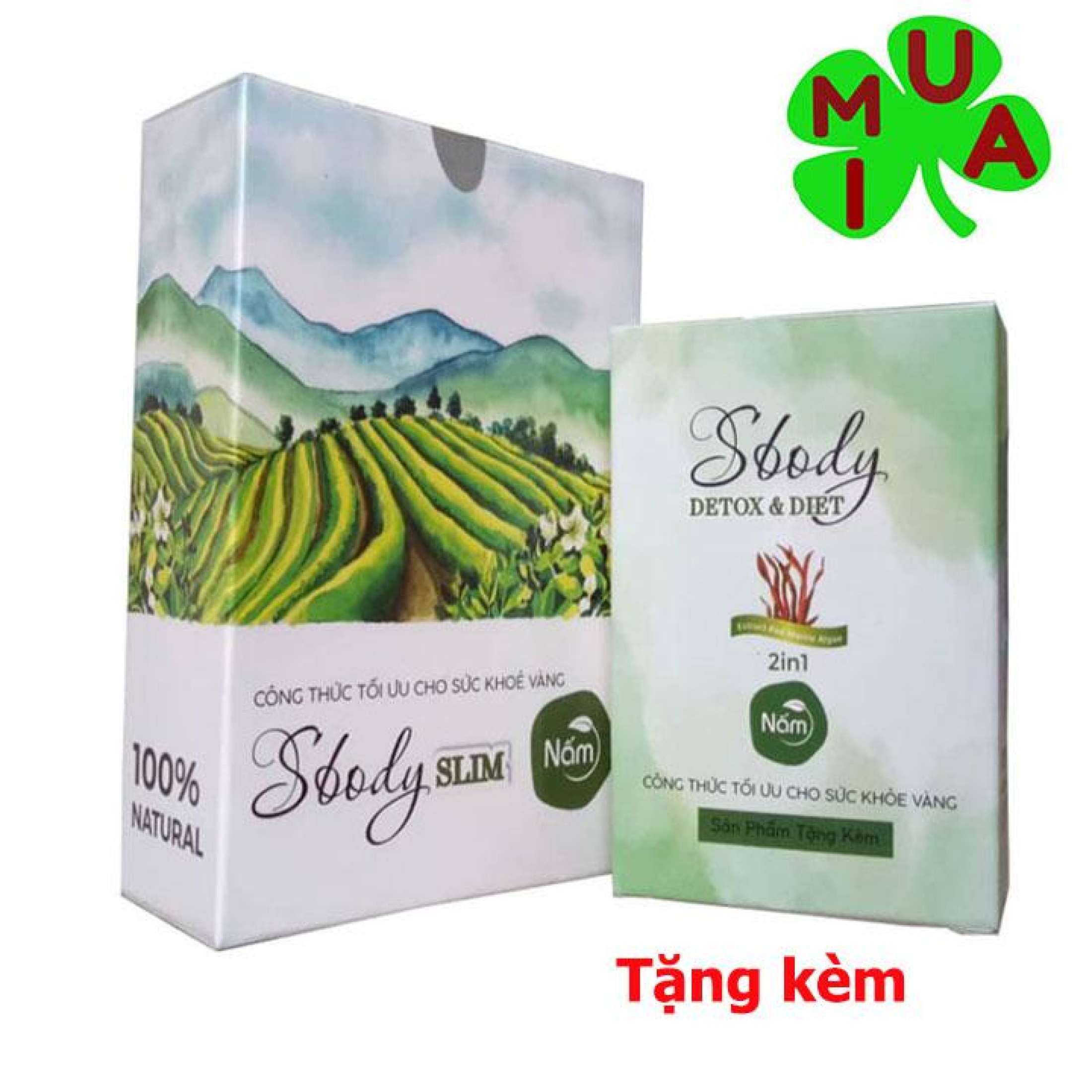 [HCM]Nấm giảm cân SBody Green Coffee dạng bột