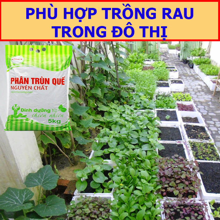 Phân Trùn Quế 5kg Lavamix