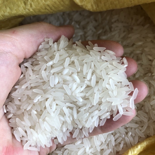 10 KG GẠO TÁM ĐIỆN BIÊN