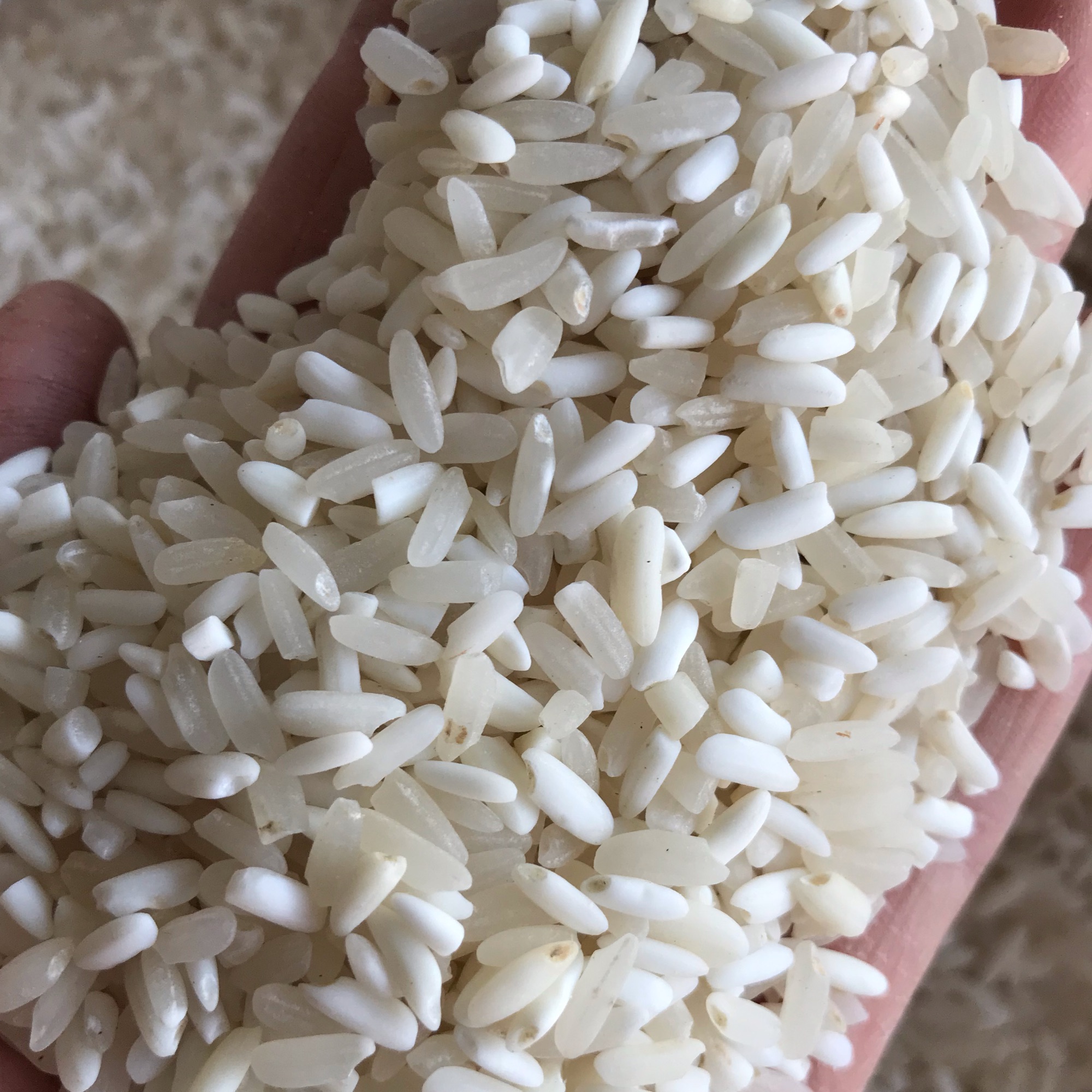 Gạo nếp nương điện biên 3kg