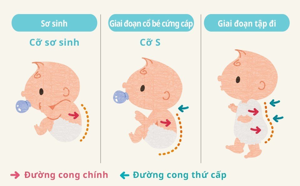 Tã Dán Moony Natural Bông Oragnic Nhập Khẩu M46