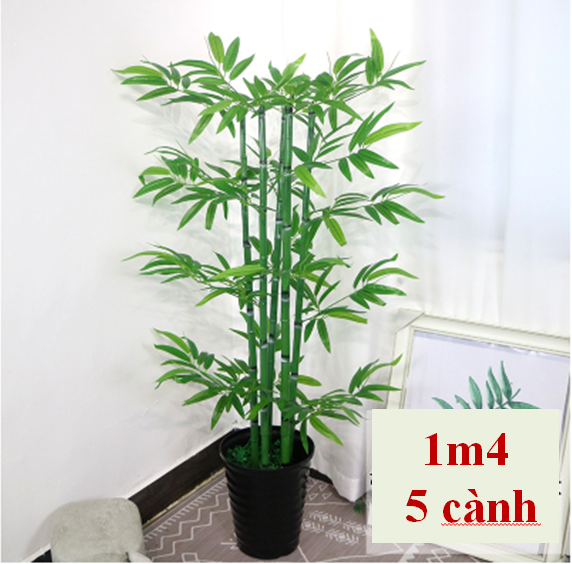 Cây Tre Cảnh