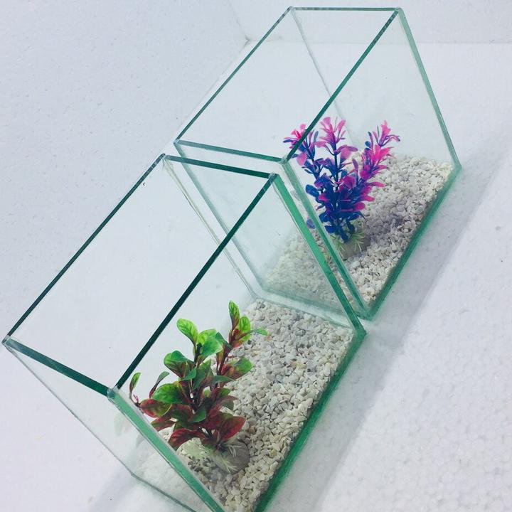 Bể cá mini để bàn combo 2 bể