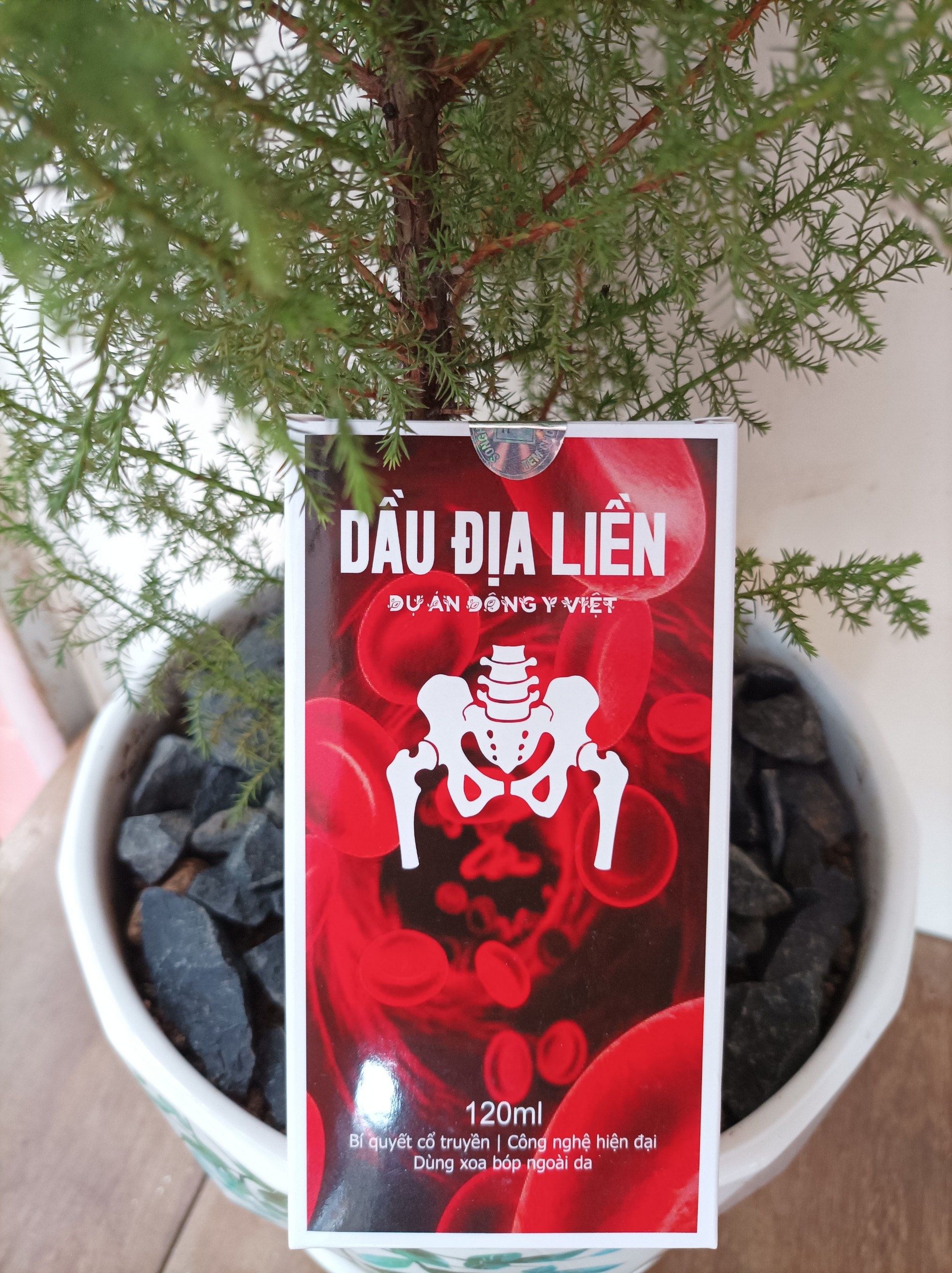Dầu xoa bóp - Dầu địa liền