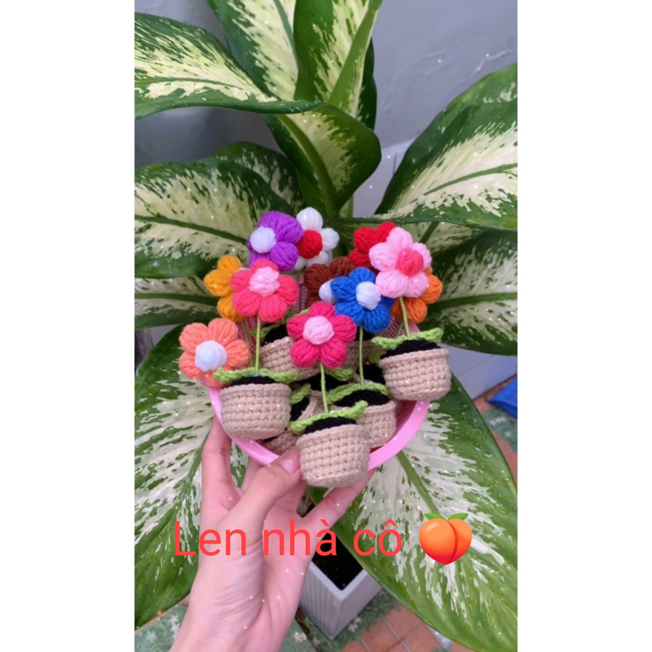 Chậu hoa len handmade decor xinh xinh🌸