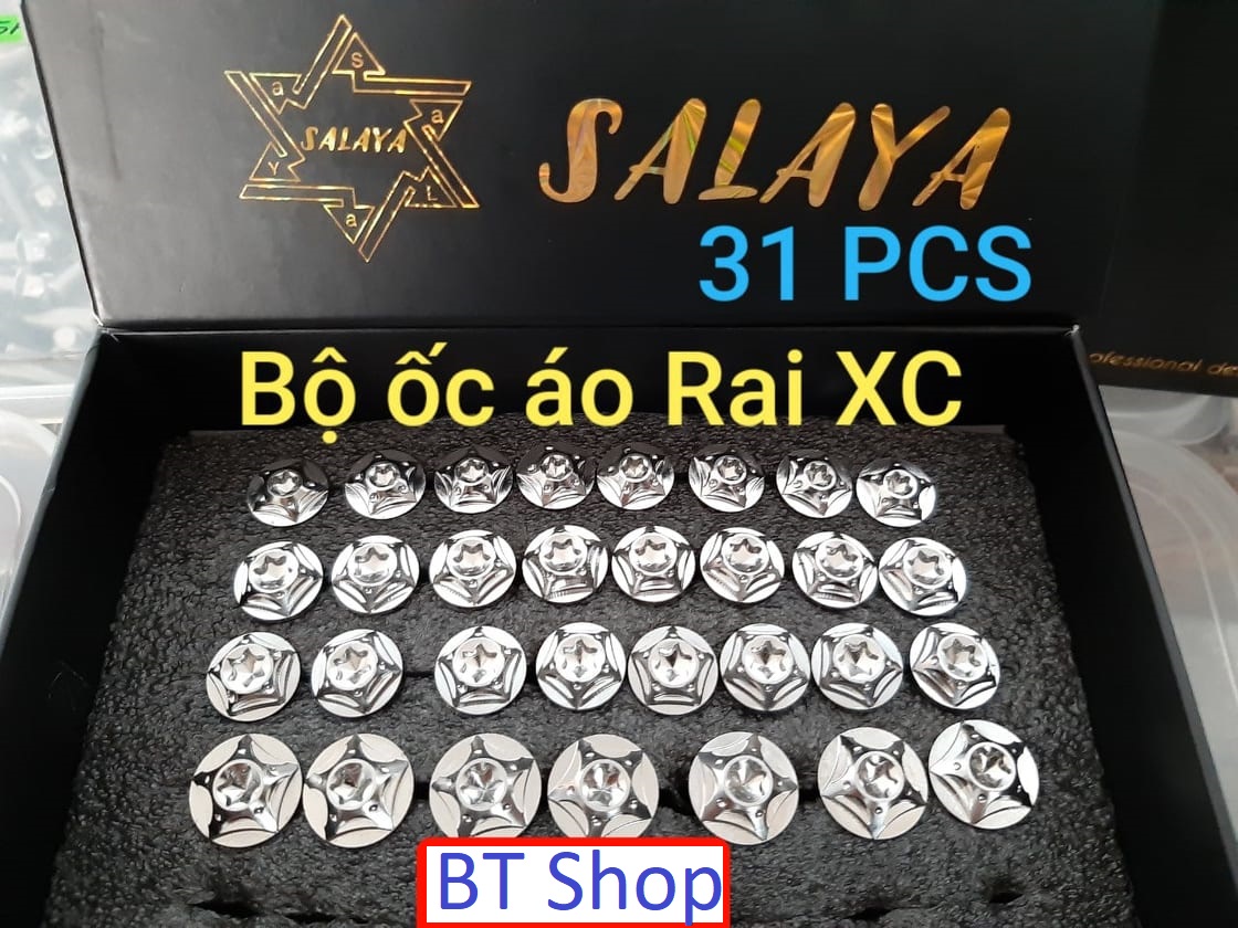 Ốc Áo Salaya Raider Xăng Cơ (31 con)