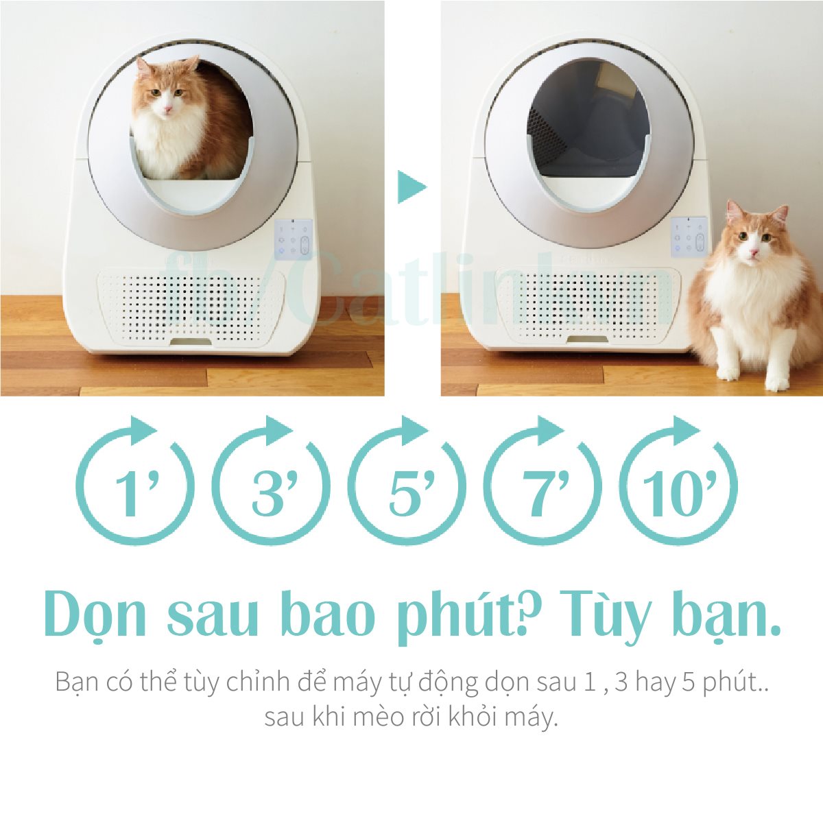 Nhà vệ sinh tự dọn cho mèo CATLINK