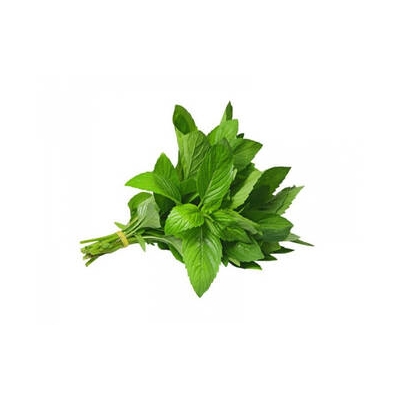 Húng cây (Húng thơm, Húng bạc hà, Húng đứng) - gói 100gr