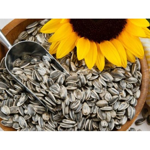 1KG HẠT HƯỚNG DƯƠNG LOẠI I
