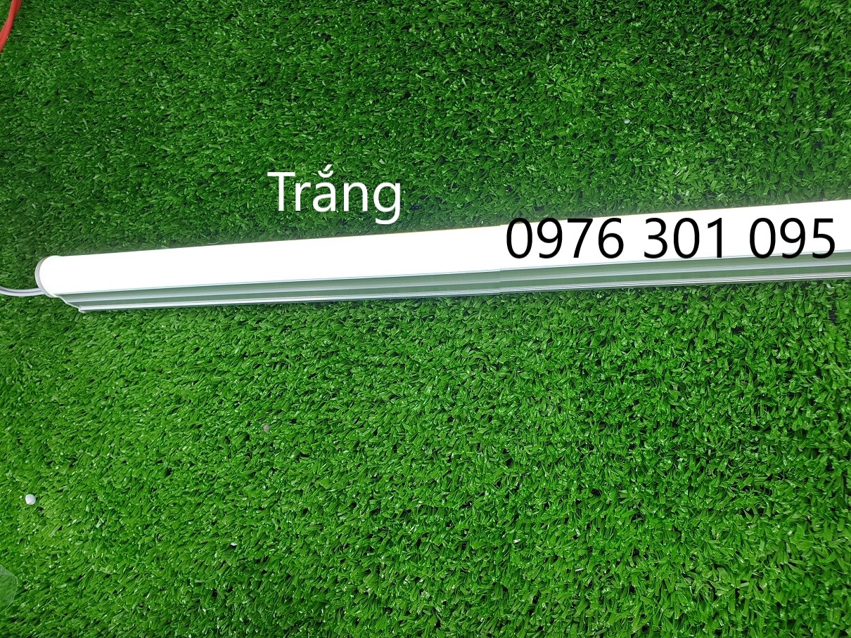 T4 Led Light Set from 30cm to 1m2