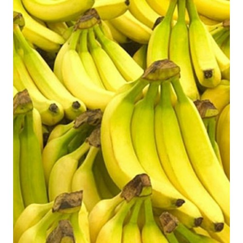 CÂY GIỐNG CHUỐI TIÊU HỒNG SIÊU QUẢ