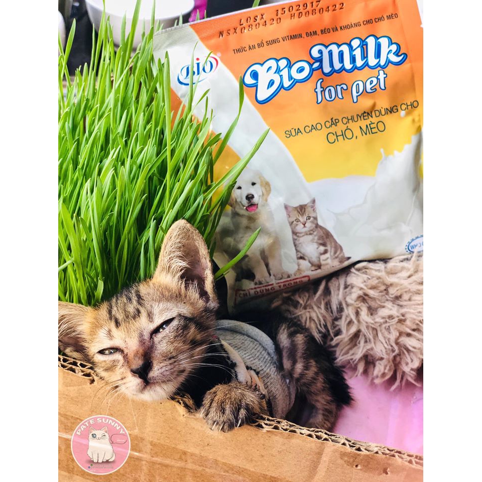 Sữa bột Bio Milk dành cho chó mèo sơ sinh - gói 100g
