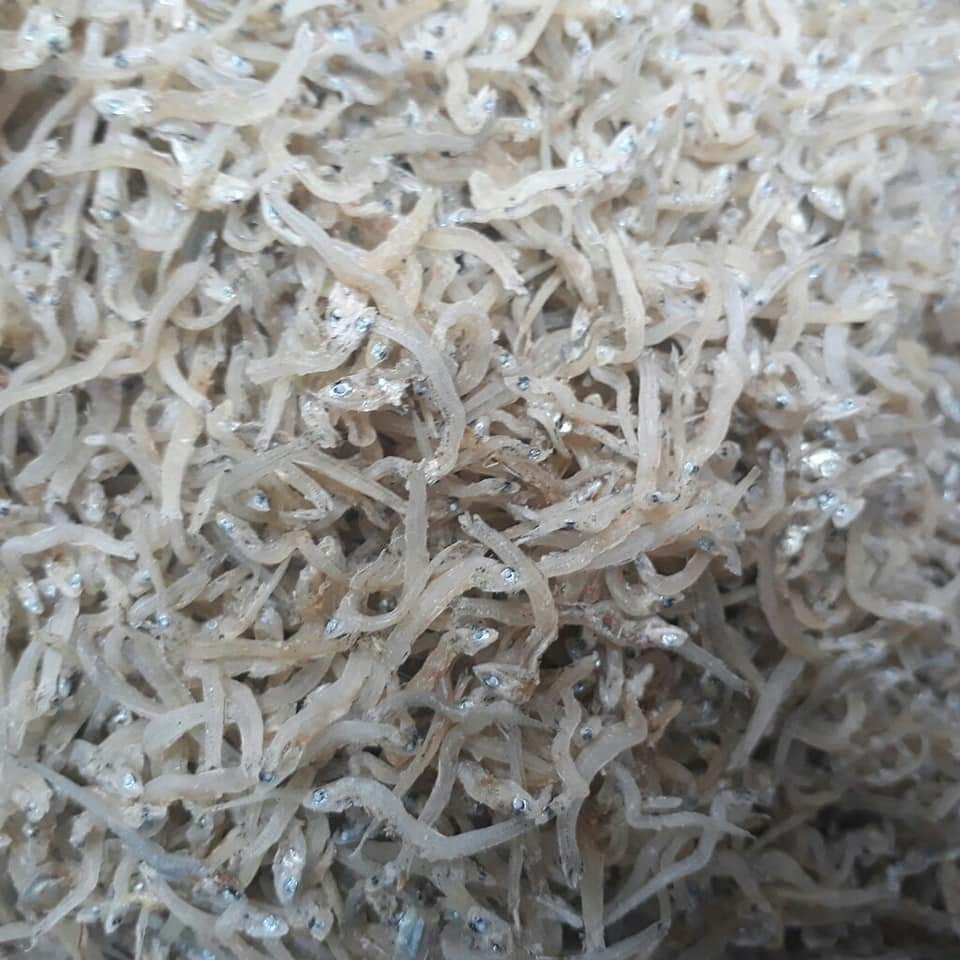 1kg Đặc sản cá cơm mờm sữa siêu ngon