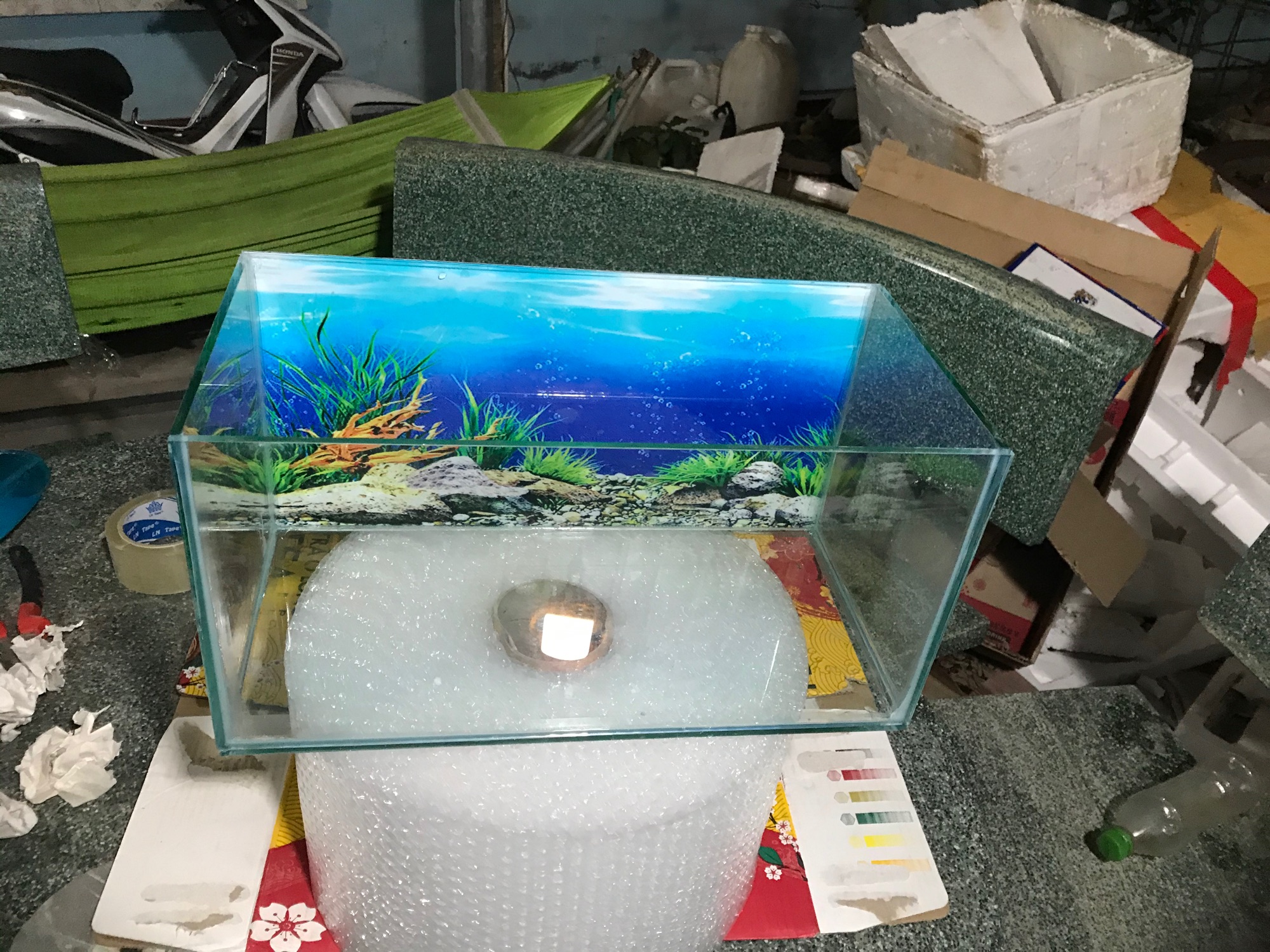 Bể cá mini 20x40x20  tranh trang trí