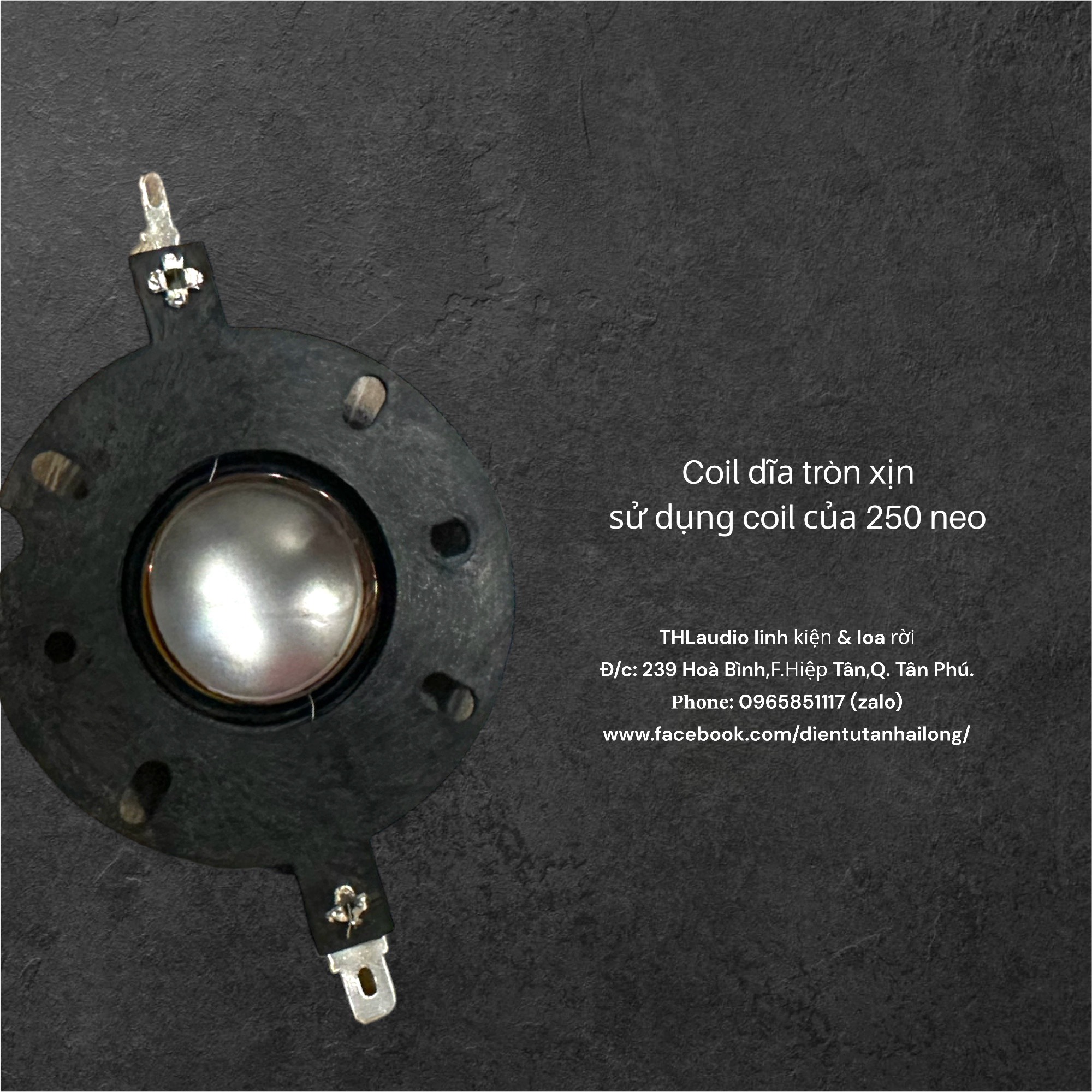 Coil Treble tròn 25,5