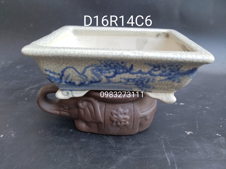 chậu gốm bonsai