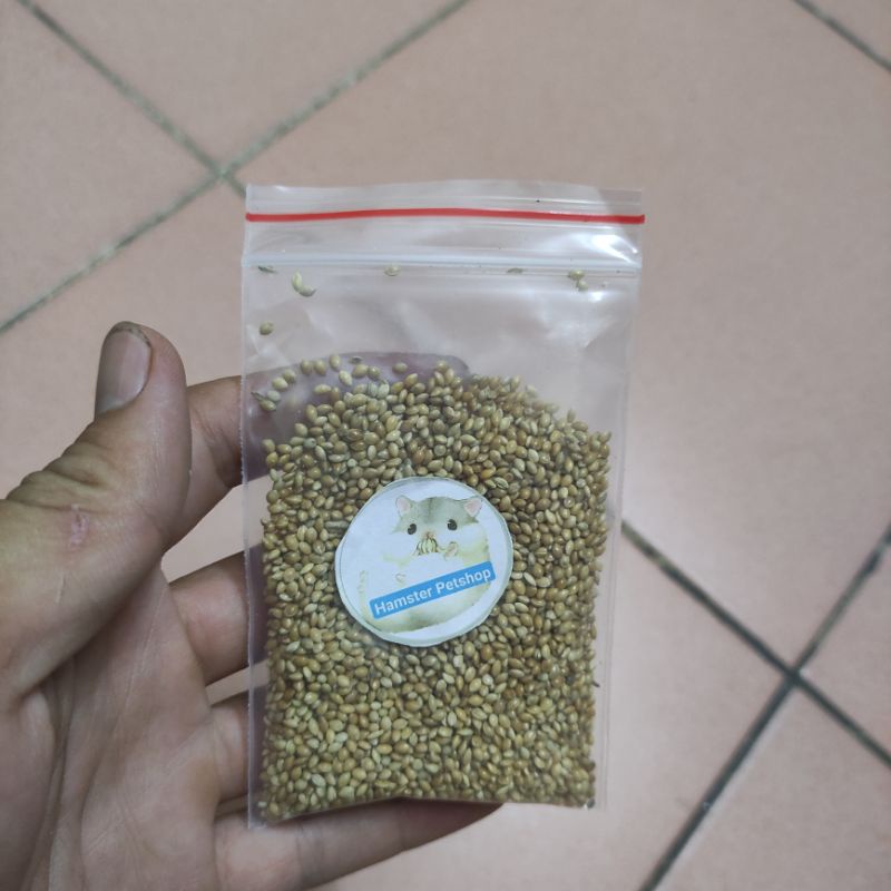 Đồ ăn thử cho các bé hamster ,  ,  , sóc