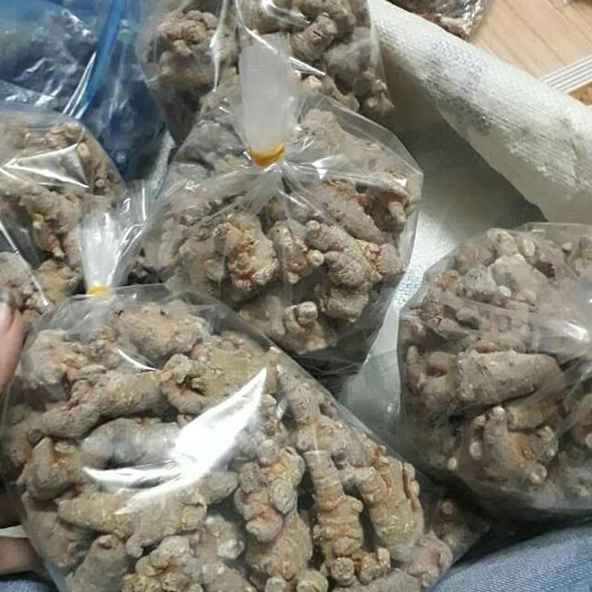 100g củ tam thất bắc