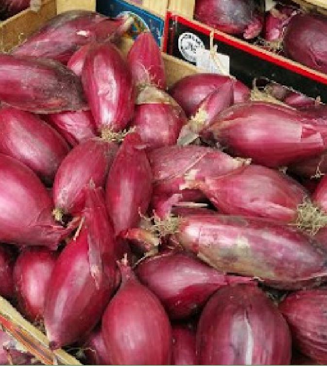 Hạt giống hành lá cao sản gốc tím - Gói 2gram
