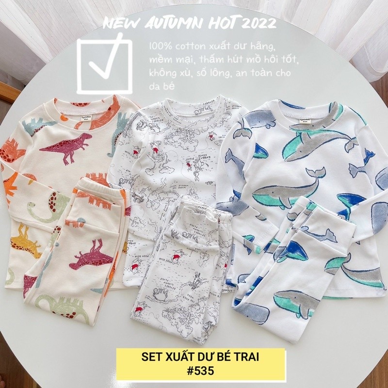 SET 3 BỘ COTTON XUẤT DƯ CHO BÉ TRAI