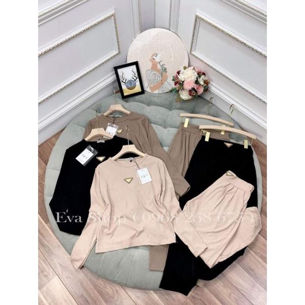 NEW✢✜  Set bộ dài tay quần bom dập ly