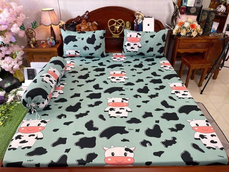 (M6*2M NỆM 20-30CM) Bộ drap ga thun Hàn quốc Vạn Phát không mền