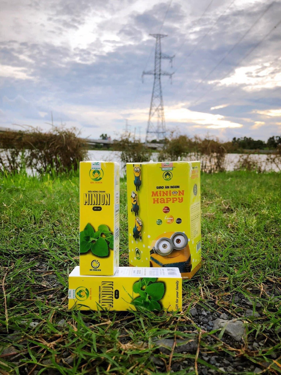 [Chính hãng] Dầu húng chanh lên men MINION GOLD 30mL