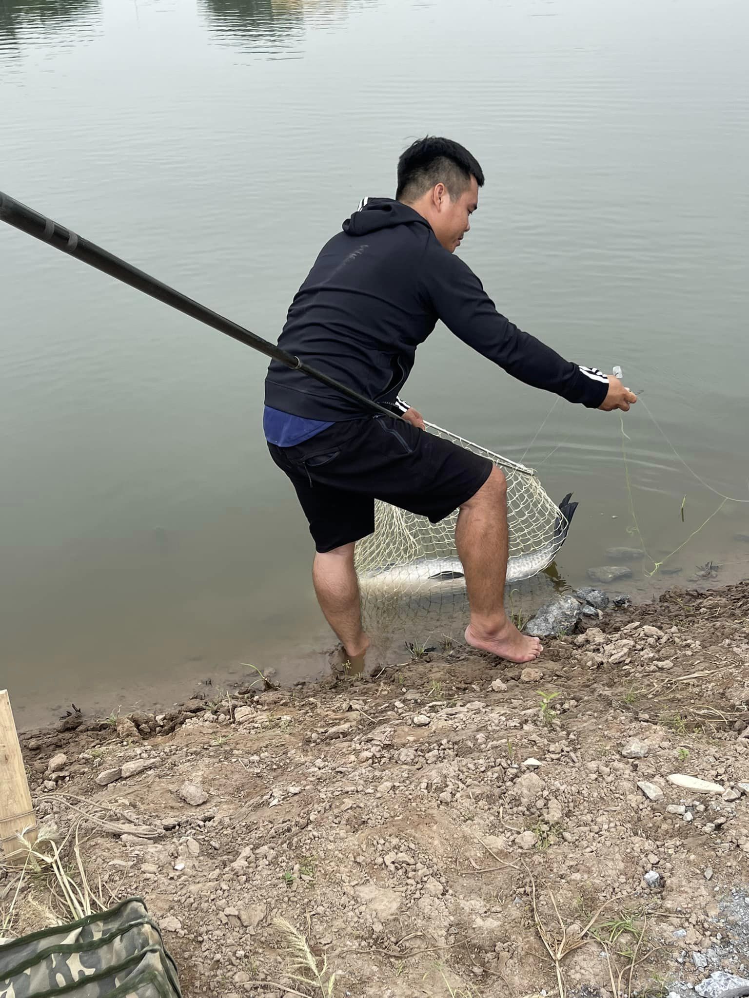 Mồi câu trắm đen kiểu mới, thính câu trắm đen, cứ câu là chạm cá
