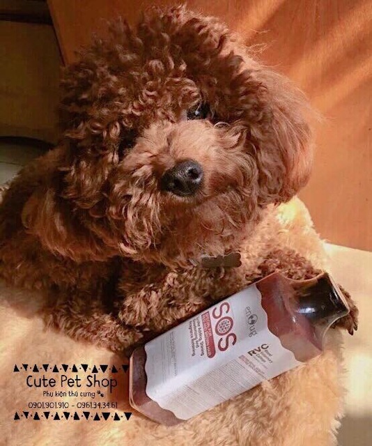 Sữa tắm SOS chuyên dụng cho cún mèo🐶🐱