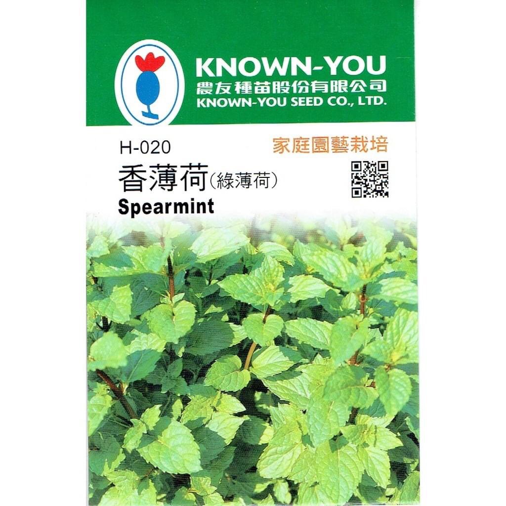 HẠT GIỐNG BẠC HÀ XANH KNOWN YOU SEED
