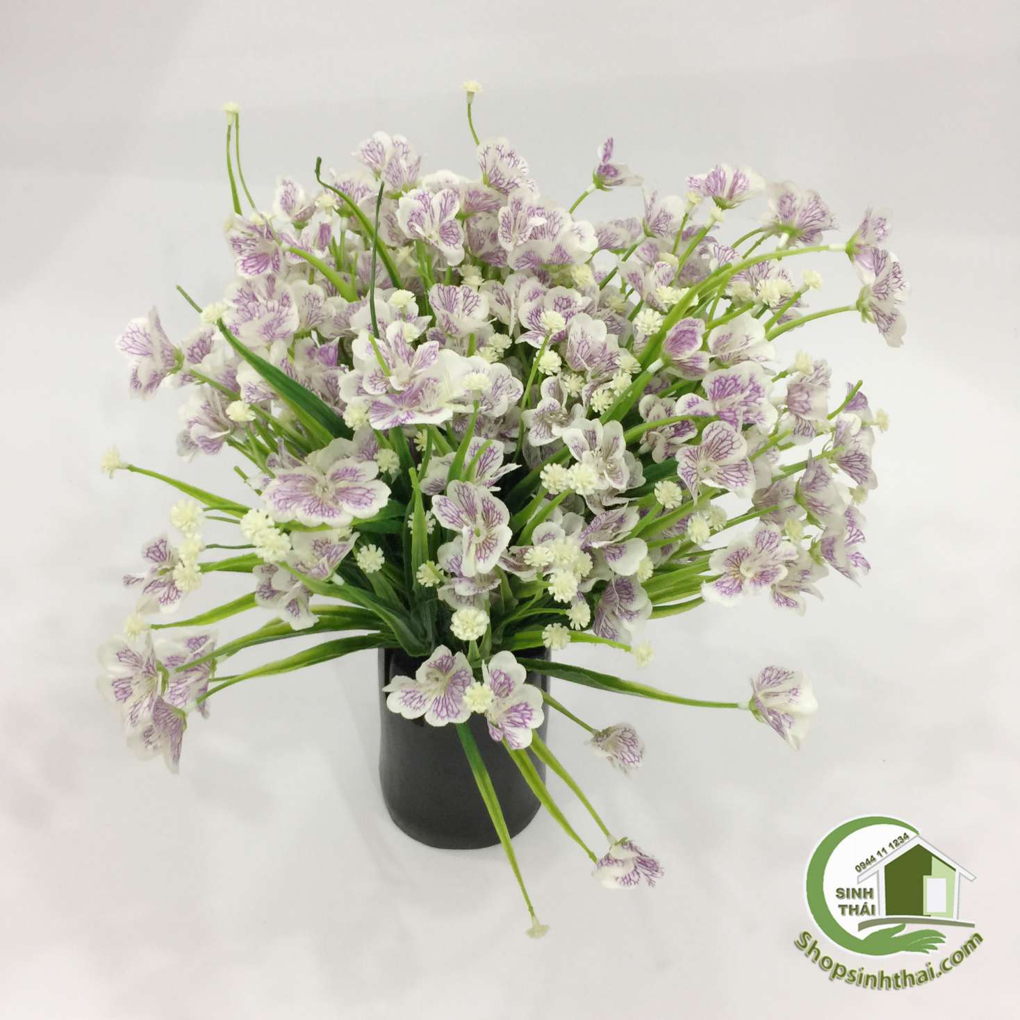 [HCM]Bụi hoa cánh bướm màu tím