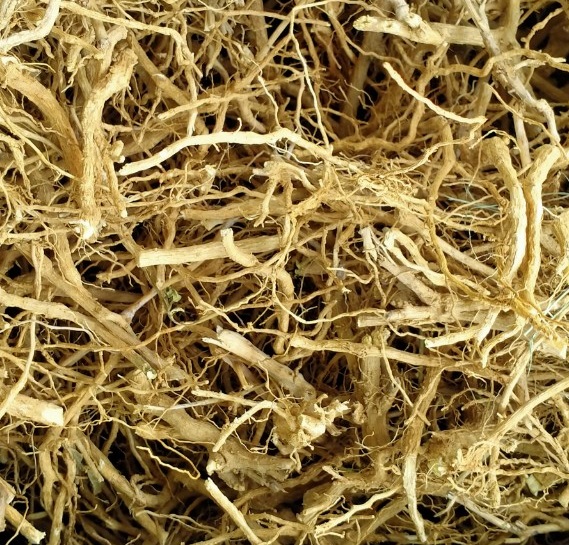 Rễ cà gai leo khô 1kg - Thảo Dược Tấn Phát