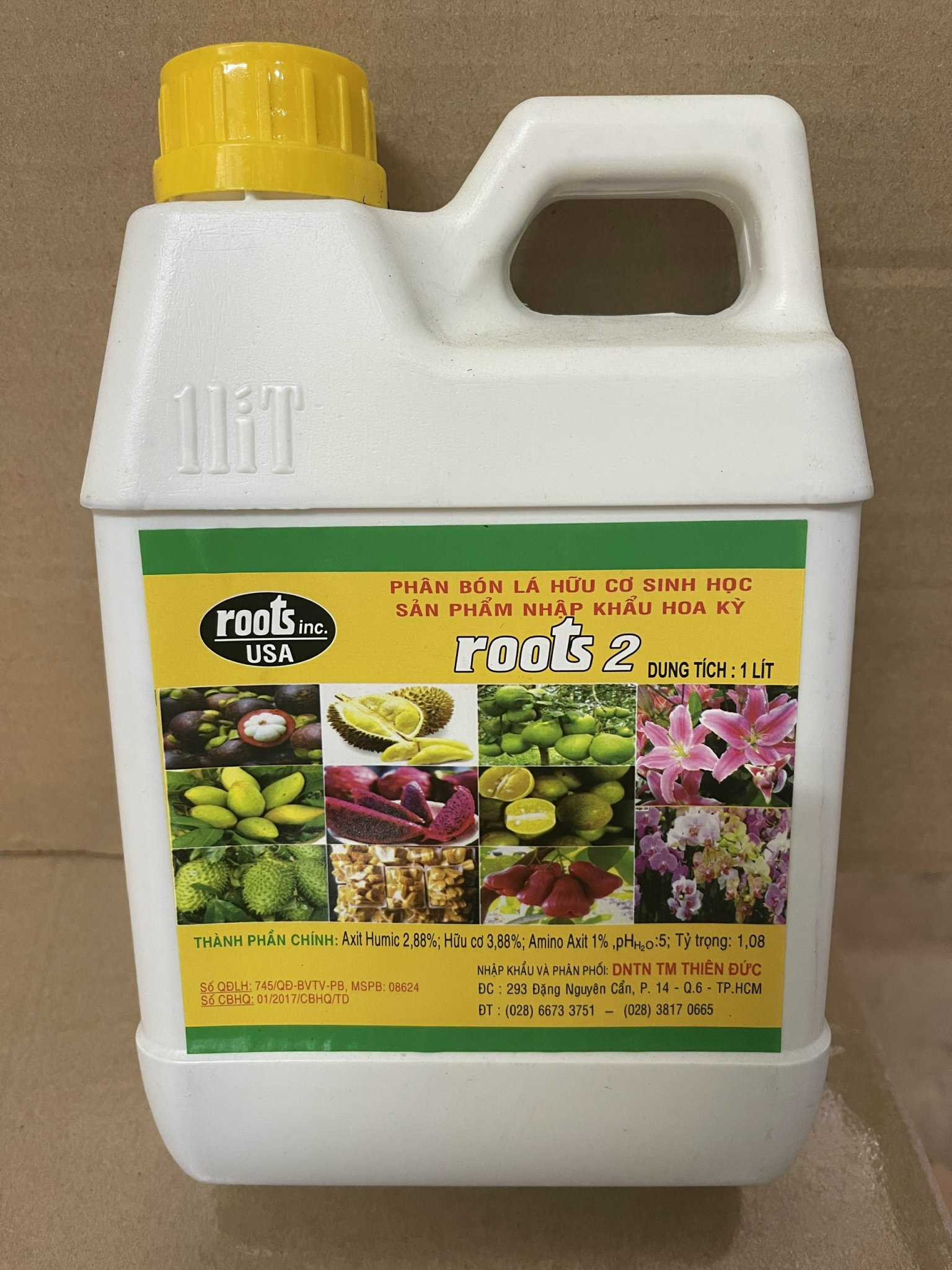 (V-neck) root 2 USA-can 1 L - Thien Duc
